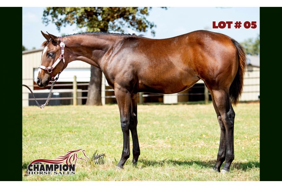 LOT 05 - SPECIAL KIND OF BLUE