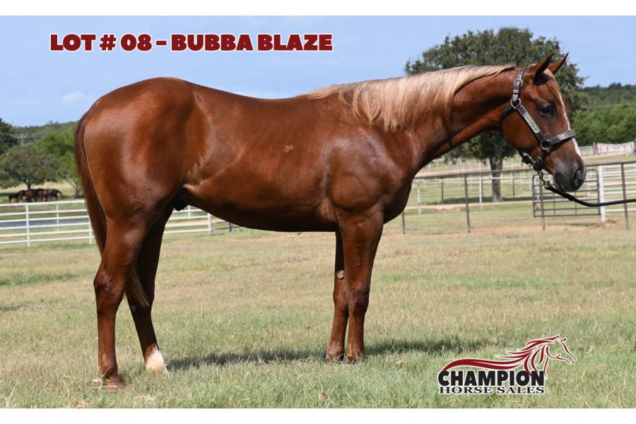 LOT 08 - BUBBA BLAZE