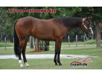 LOT 09 - FAITH IN BLAZE
