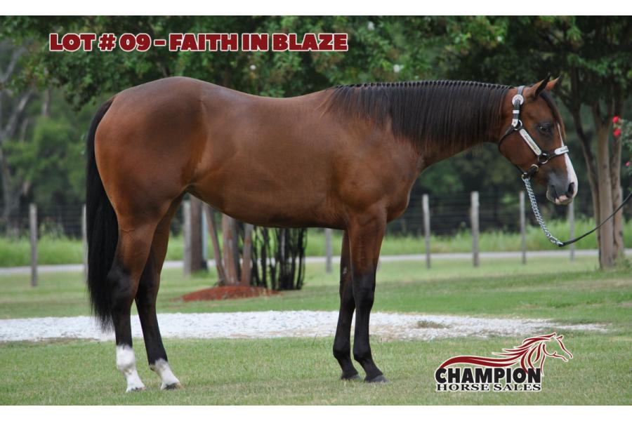 LOT 09 - FAITH IN BLAZE