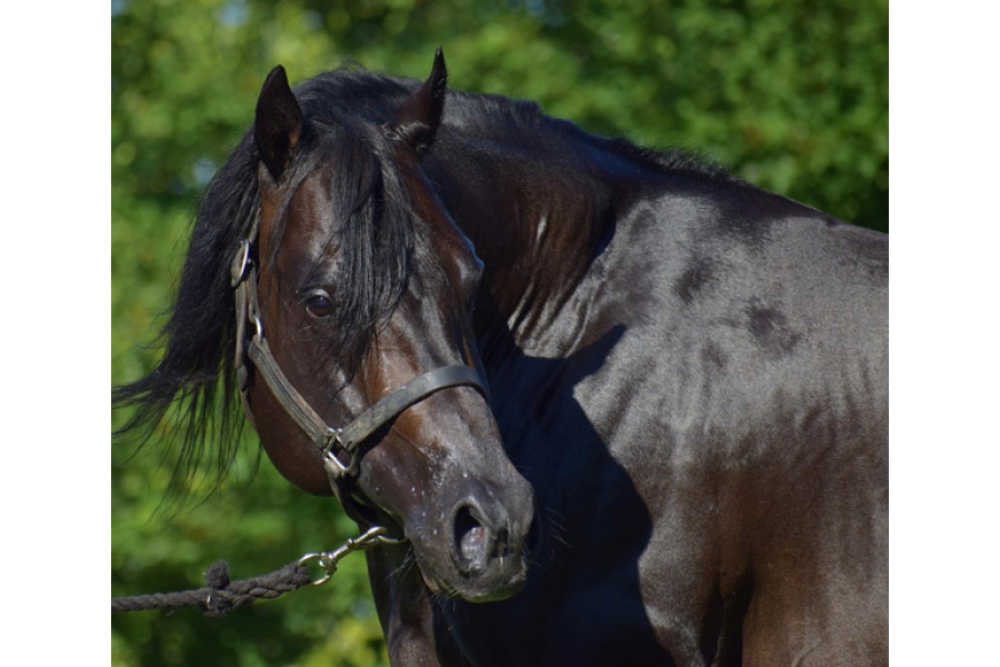 Best Get Your Wallet