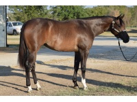 LOT  108 - STARTING RUMORS