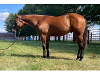 LOT  105 - THE BREEZE