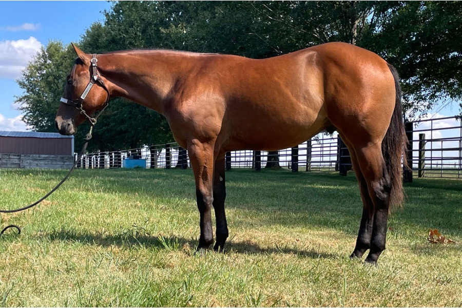 LOT  105 - THE BREEZE