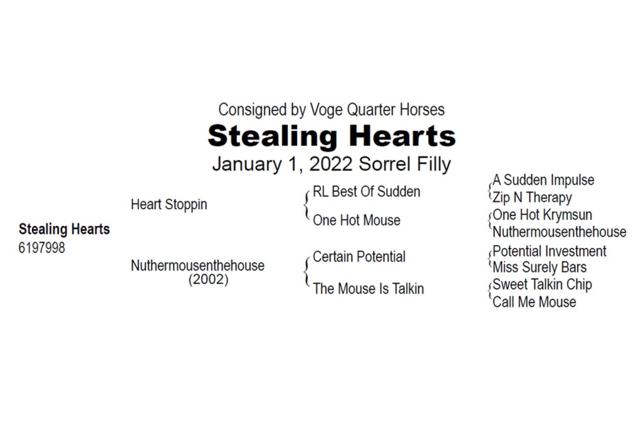 LOT  115 - STEALING HEARTS