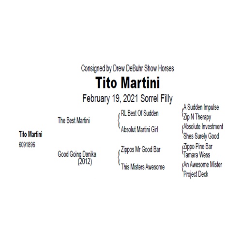 LOT  206 - TITO MARTINI